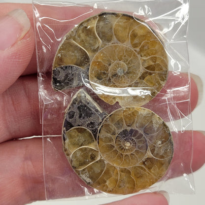 Ammonite split pairs