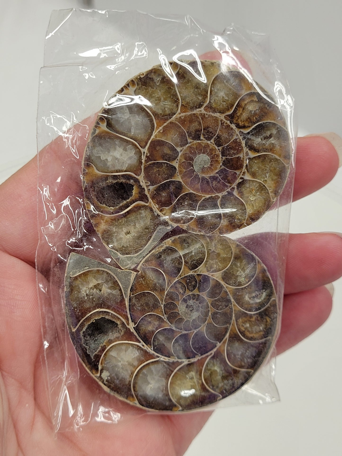 Ammonite split pairs