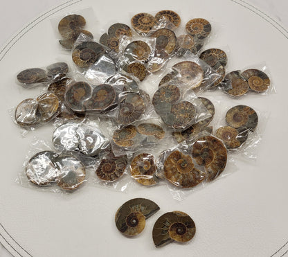 Ammonite split pairs