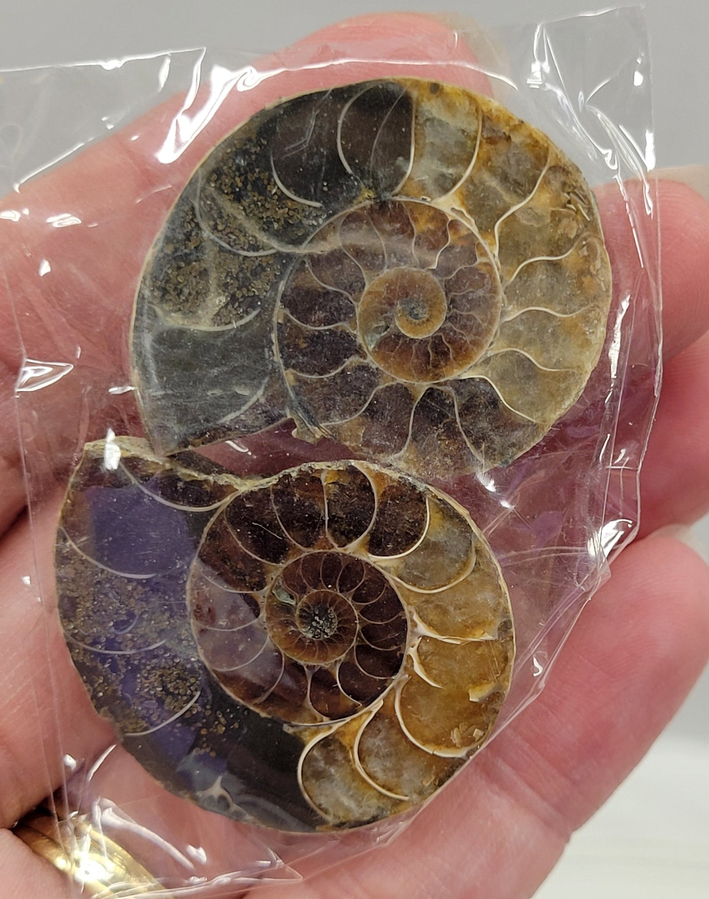 Ammonite split pairs