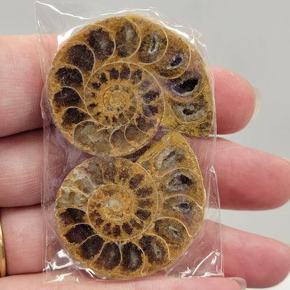 Ammonite split pairs