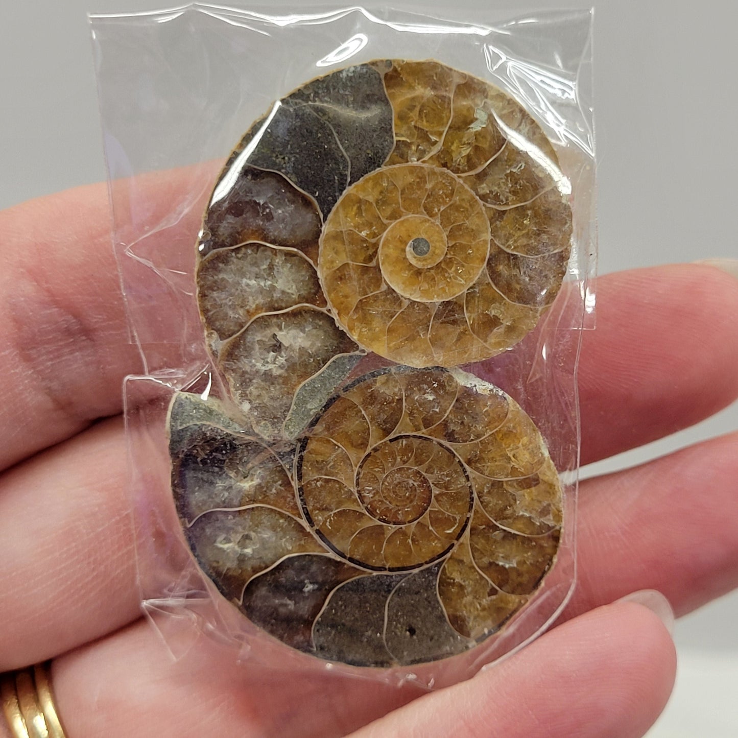 Ammonite split pairs