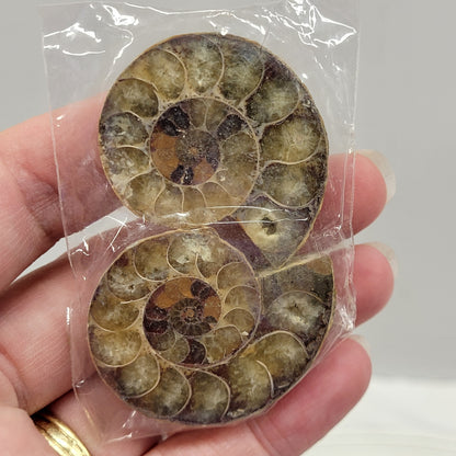 Ammonite split pairs