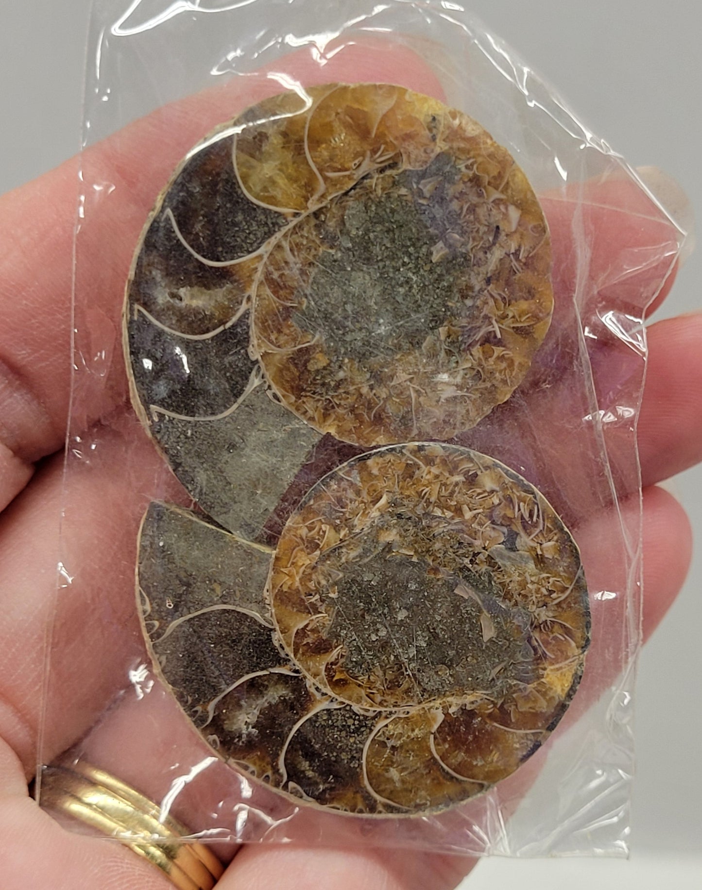 Ammonite split pairs