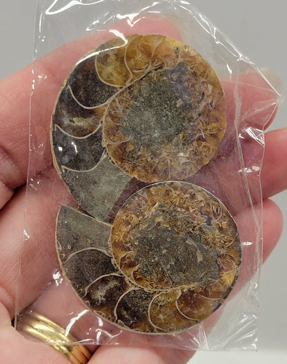 Ammonite split pairs