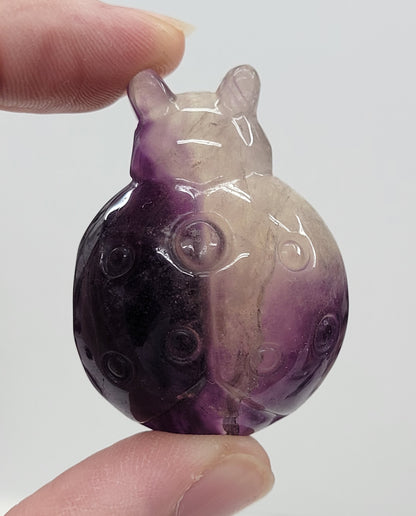 Ladybug carving - Fluorite (medium)