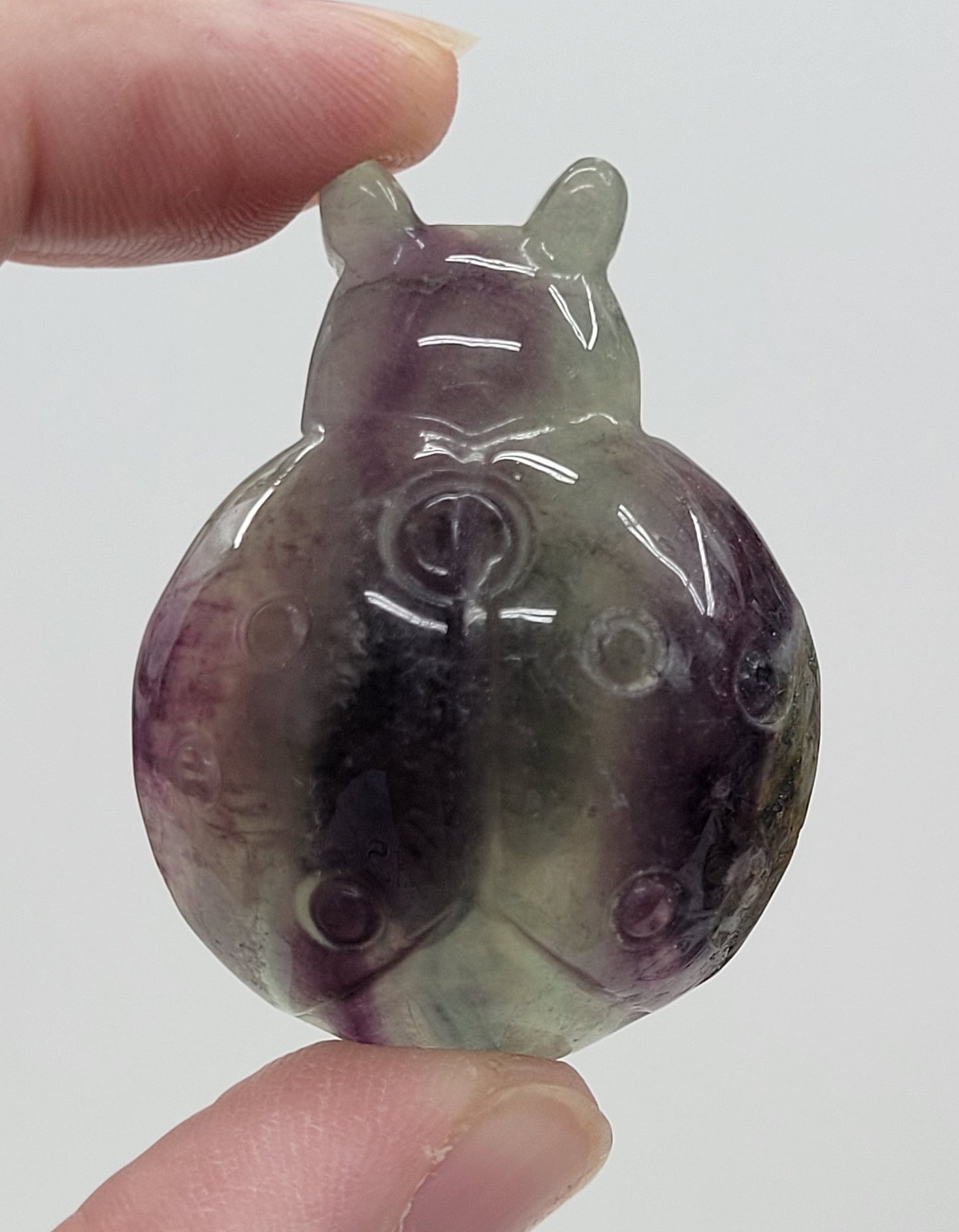 Ladybug carving - Fluorite (medium)