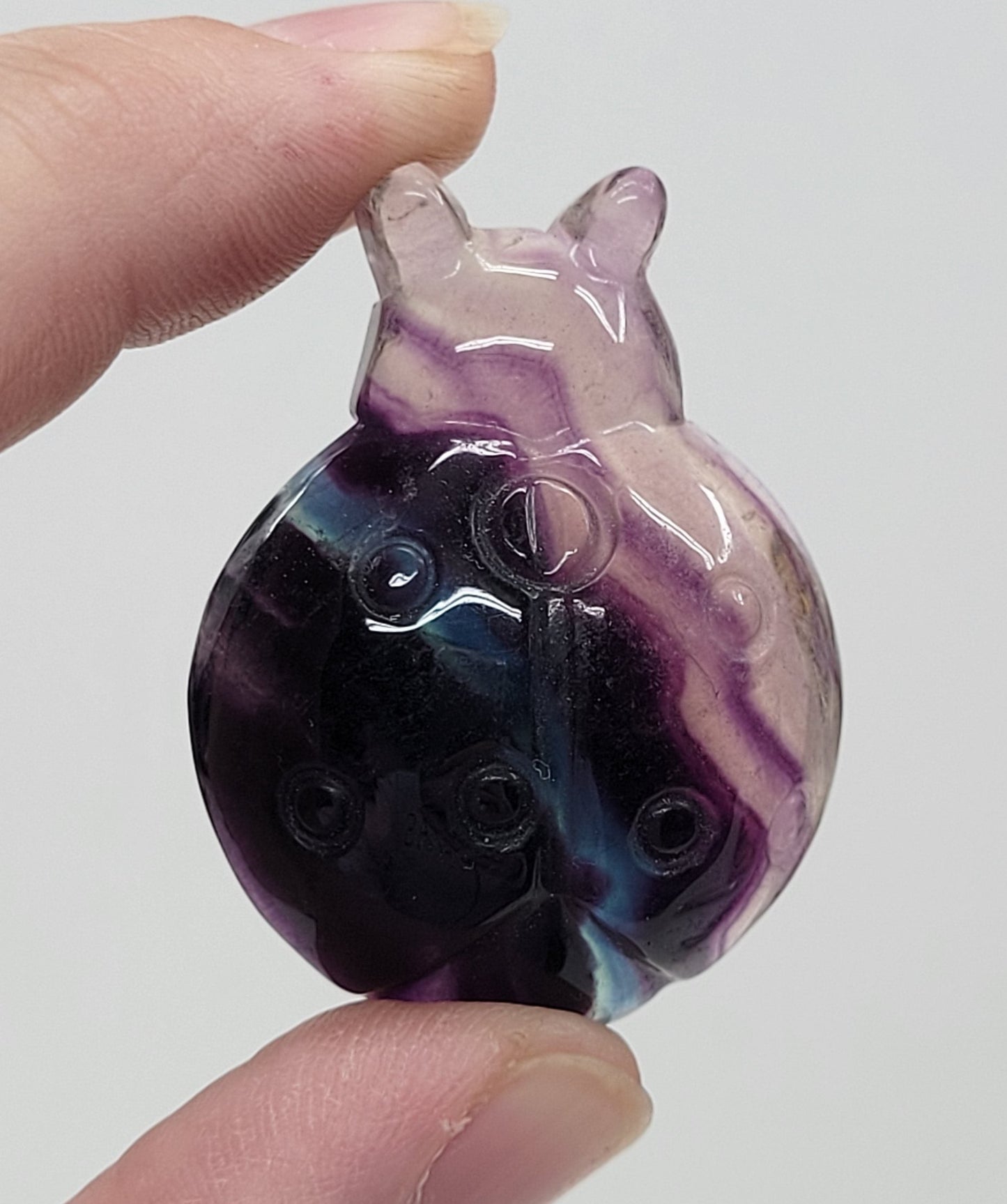 Ladybug carving - Fluorite (medium)