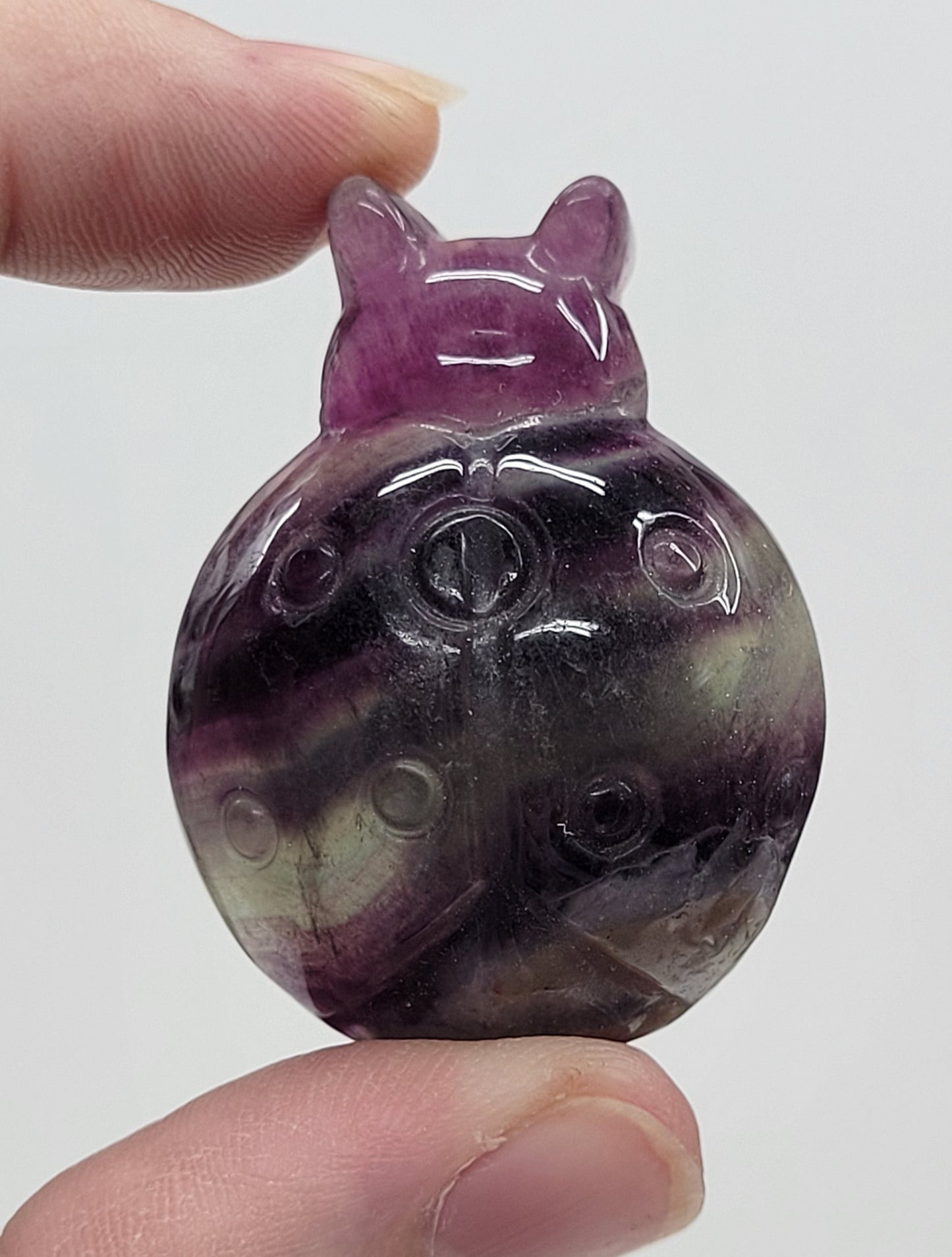 Ladybug carving - Fluorite (medium)