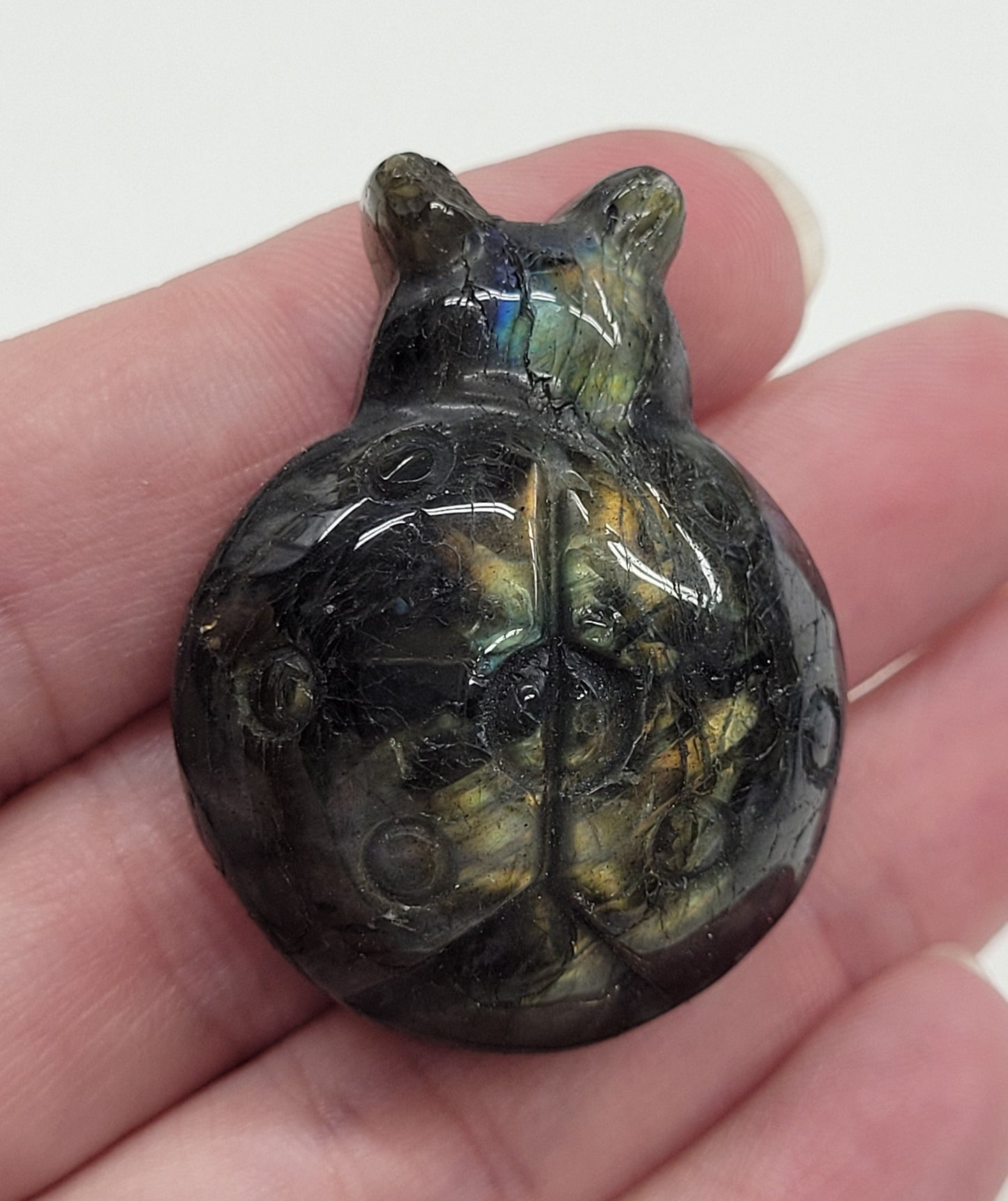 Ladybug carving - Labradorite (medium)