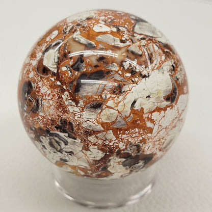 Money Agate sphere