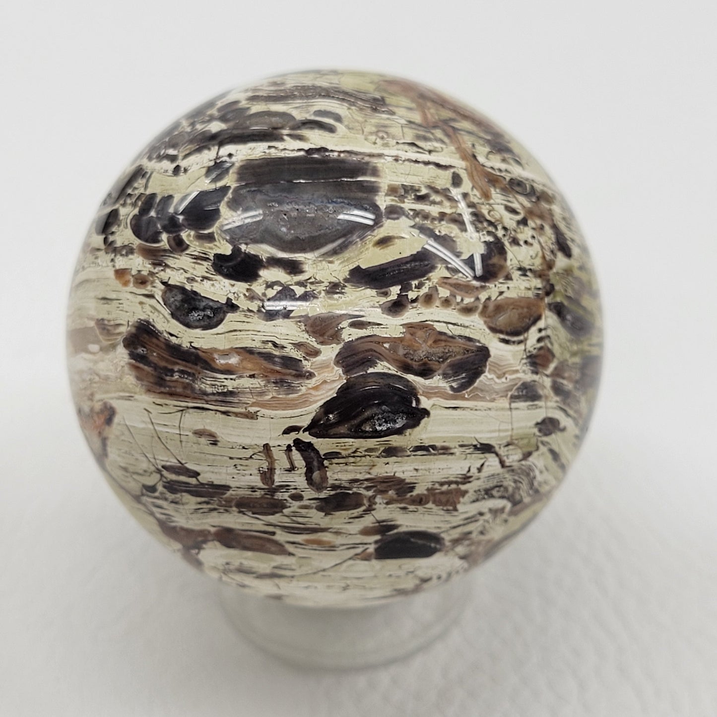 Money Agate sphere