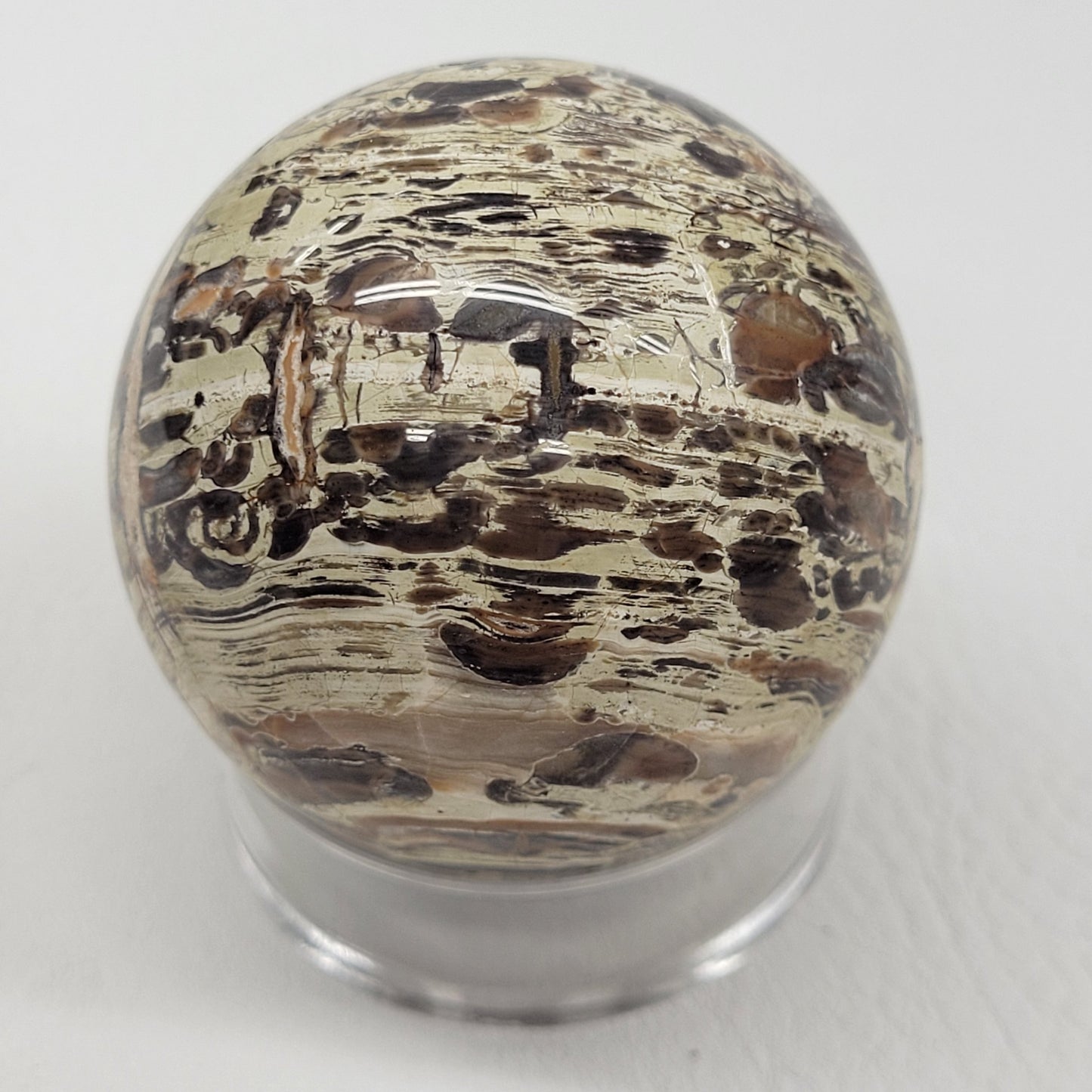 Money Agate sphere