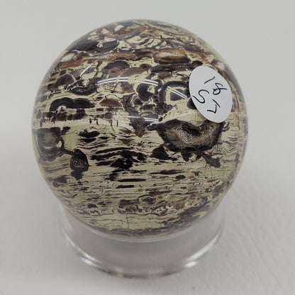 Money Agate sphere