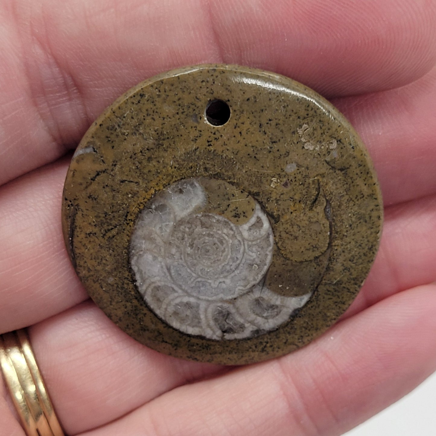 Ammonite pendant