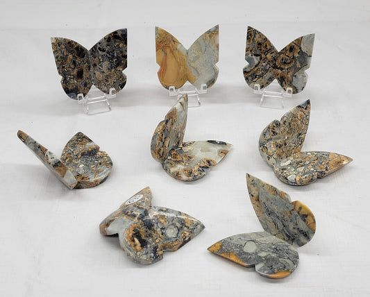 3D butterfly - Maligano Jasper