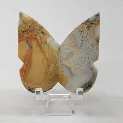 3D butterfly - Maligano Jasper