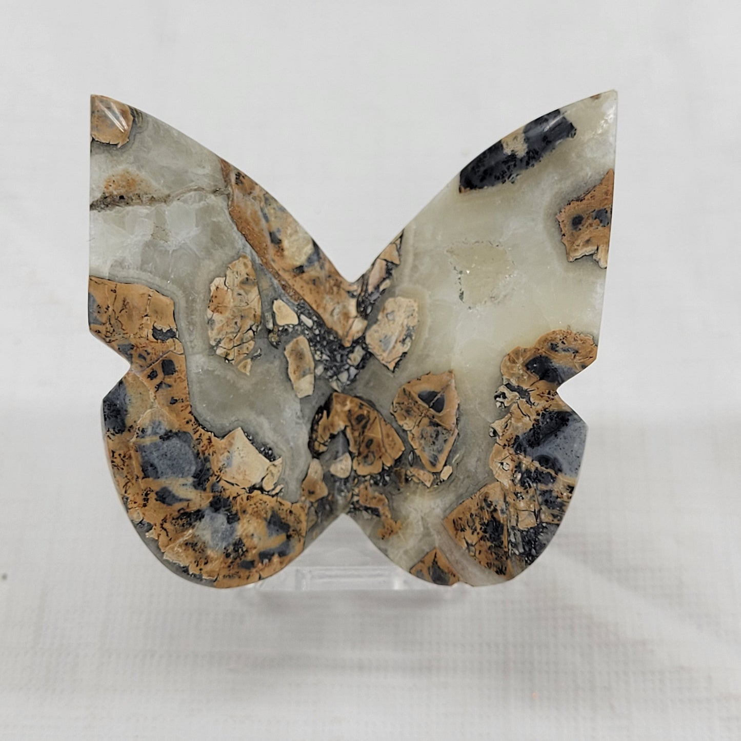 3D butterfly - Maligano Jasper