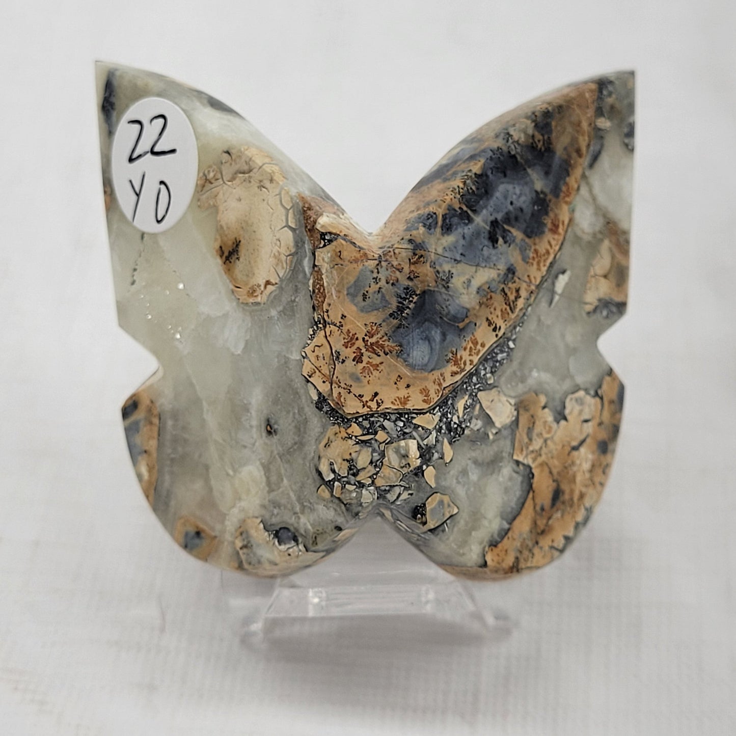 3D butterfly - Maligano Jasper