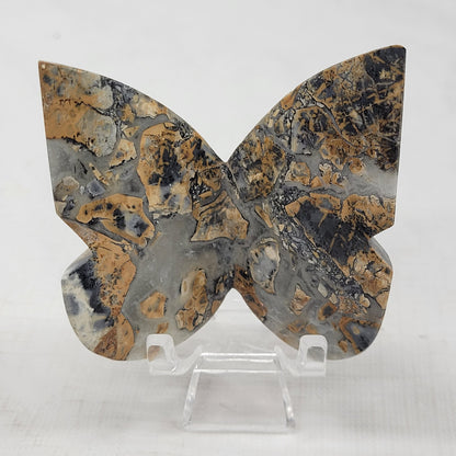 3D butterfly - Maligano Jasper