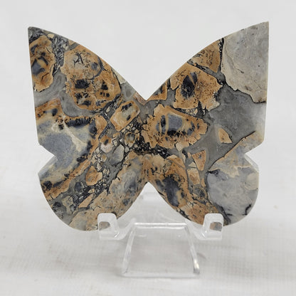 3D butterfly - Maligano Jasper