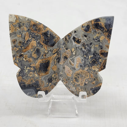 3D butterfly - Maligano Jasper