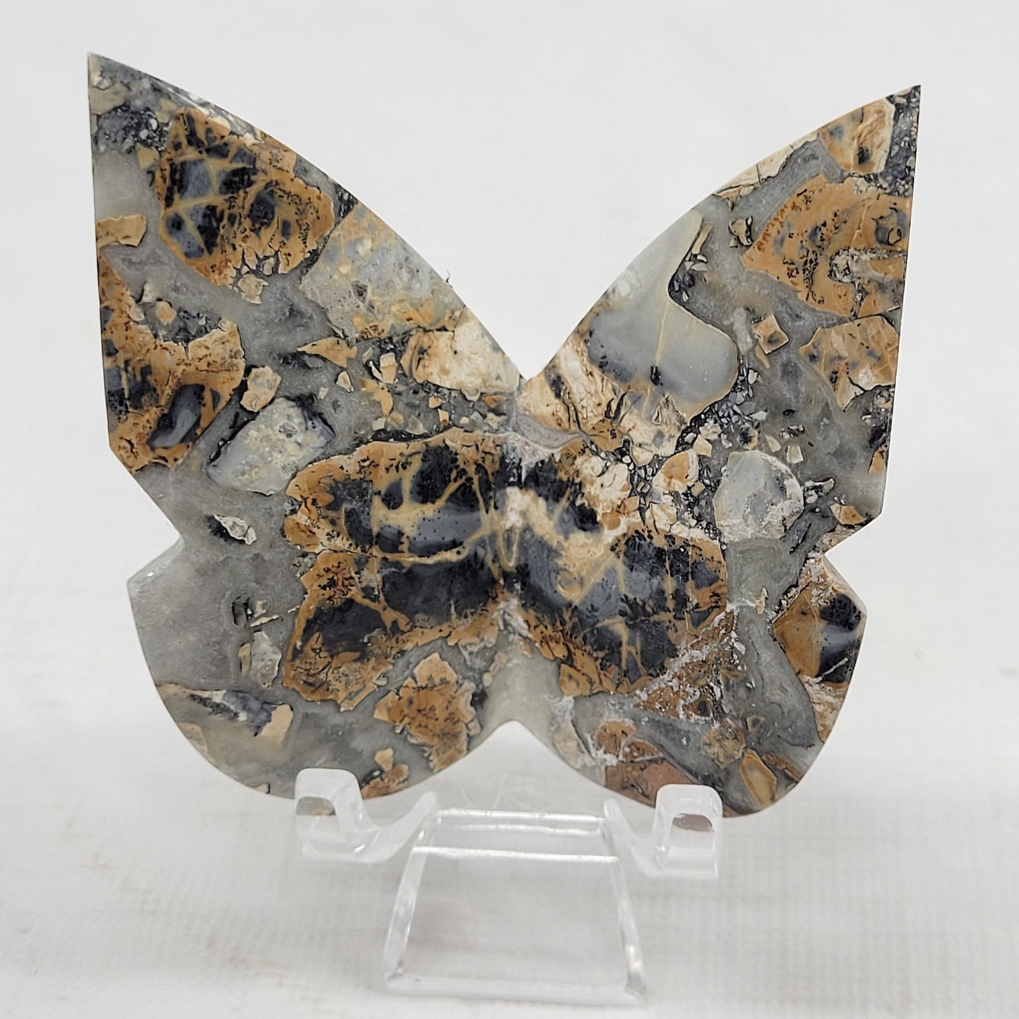 3D butterfly - Maligano Jasper