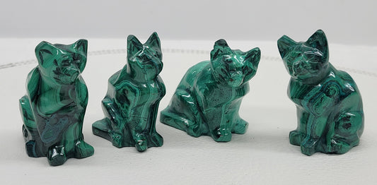 Malachite cat