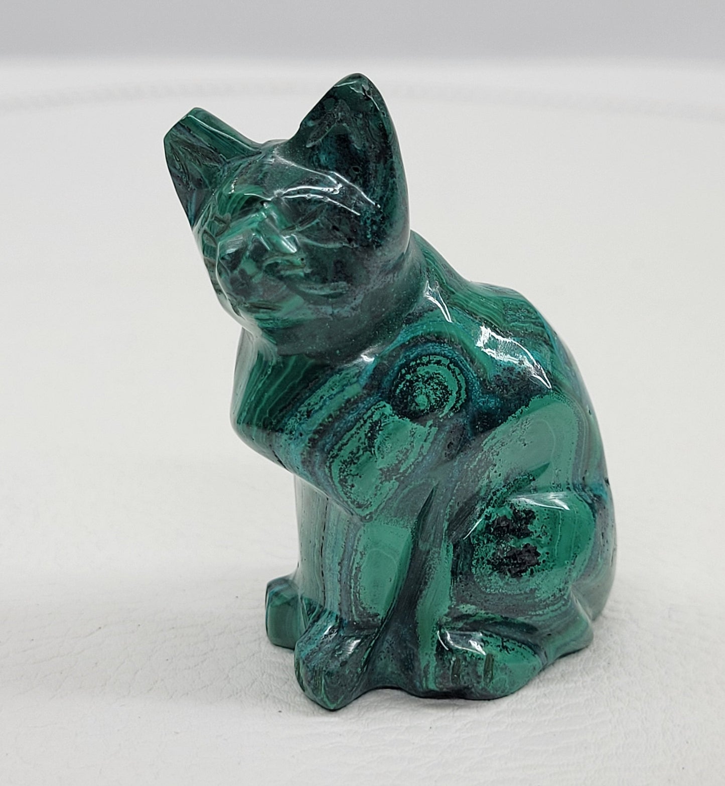 Malachite cat