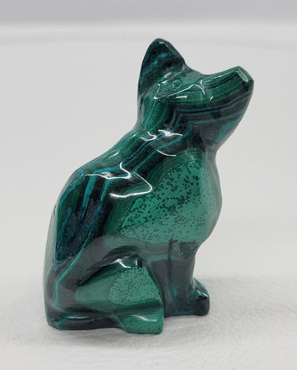 Malachite cat