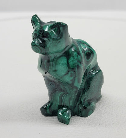 Malachite cat