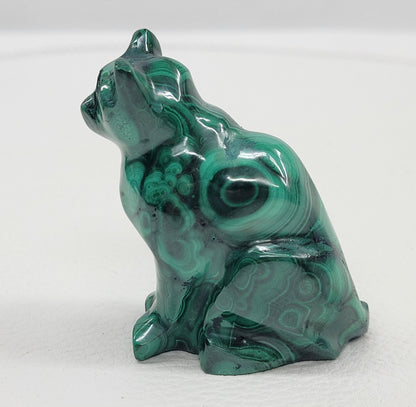 Malachite cat