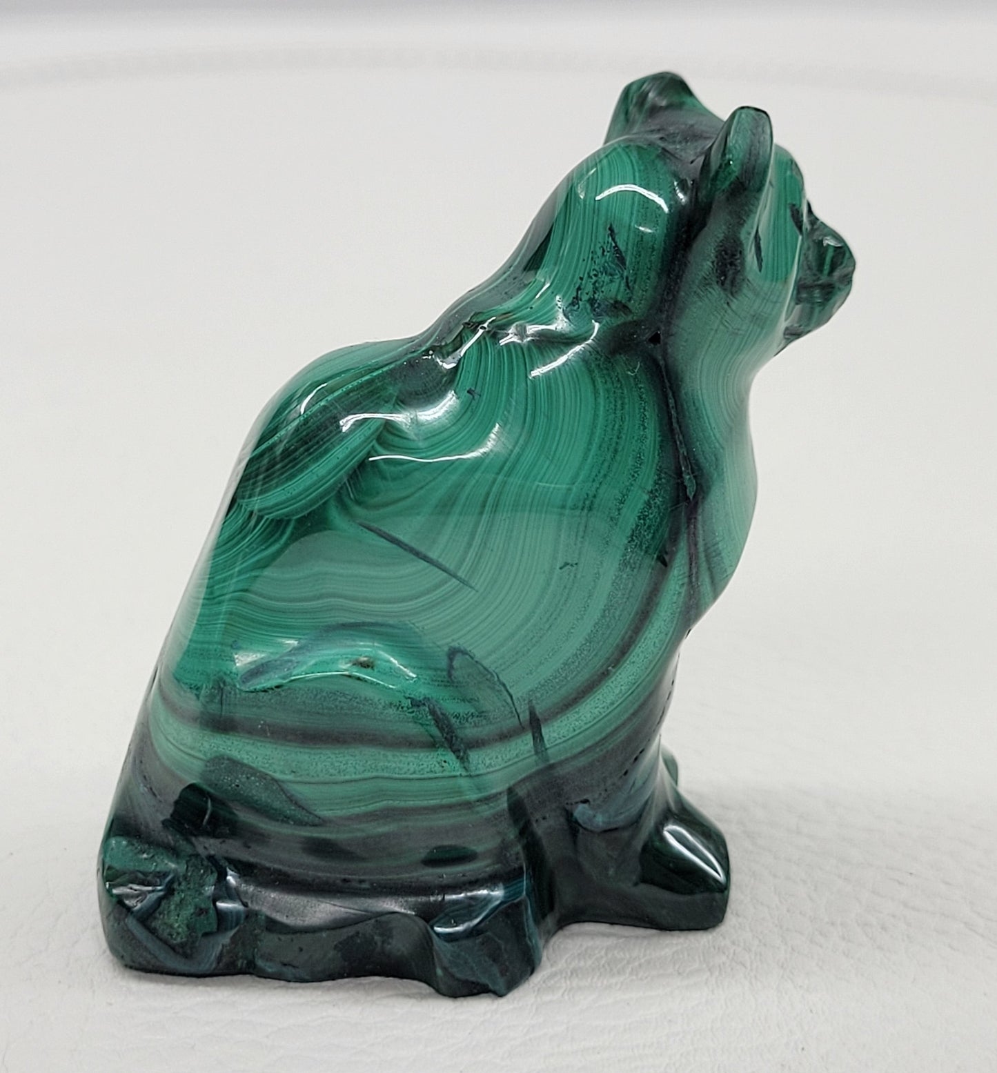 Malachite cat