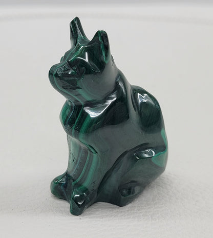 Malachite cat