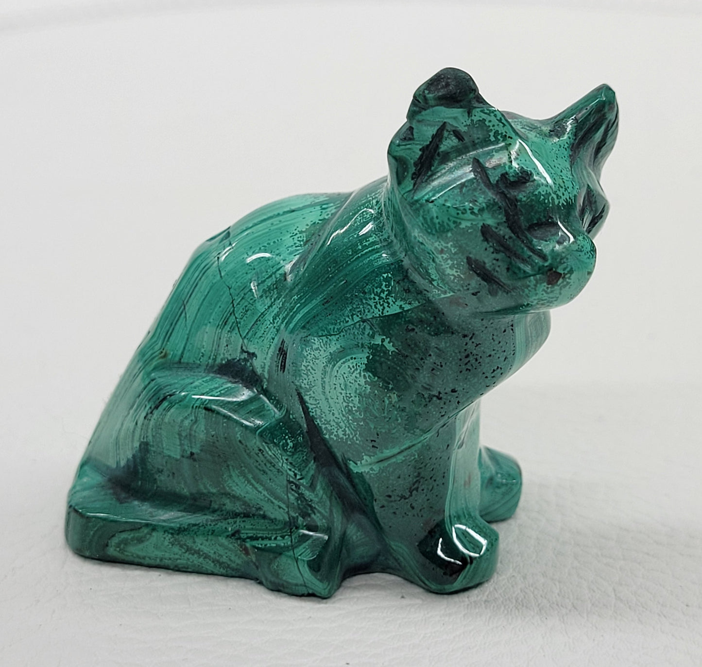 Malachite cat