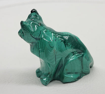 Malachite cat