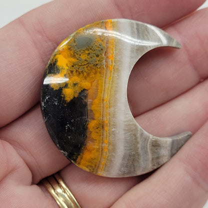 Bumblebee Jasper moon