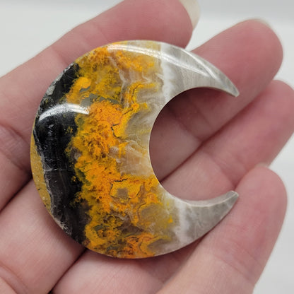 Bumblebee Jasper moon