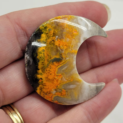 Bumblebee Jasper moon