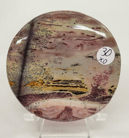 Picture Jasper coasters/rounds