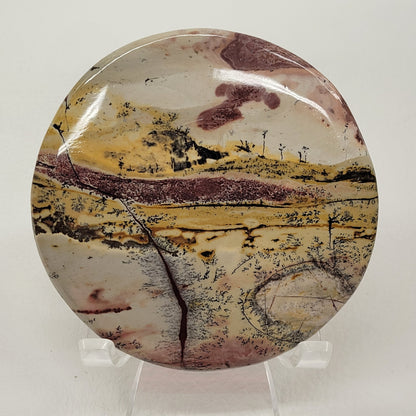 Picture Jasper coasters/rounds