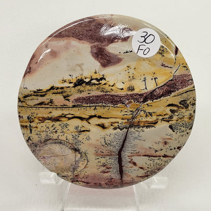 Picture Jasper coasters/rounds