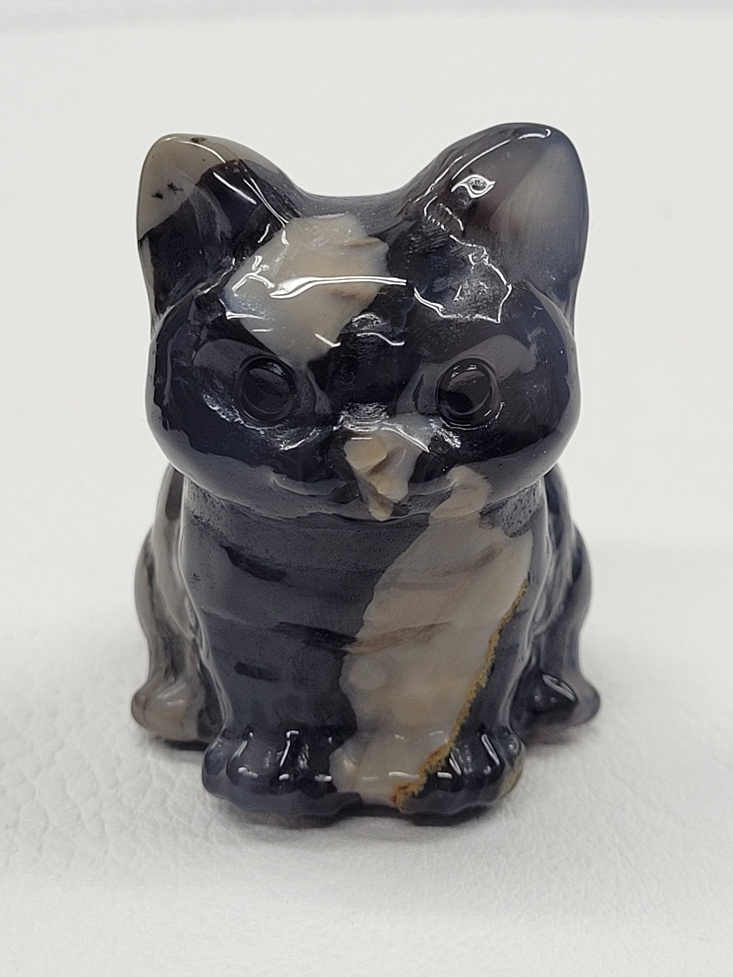 Cute cat/kitty sitting - Volcano Agate