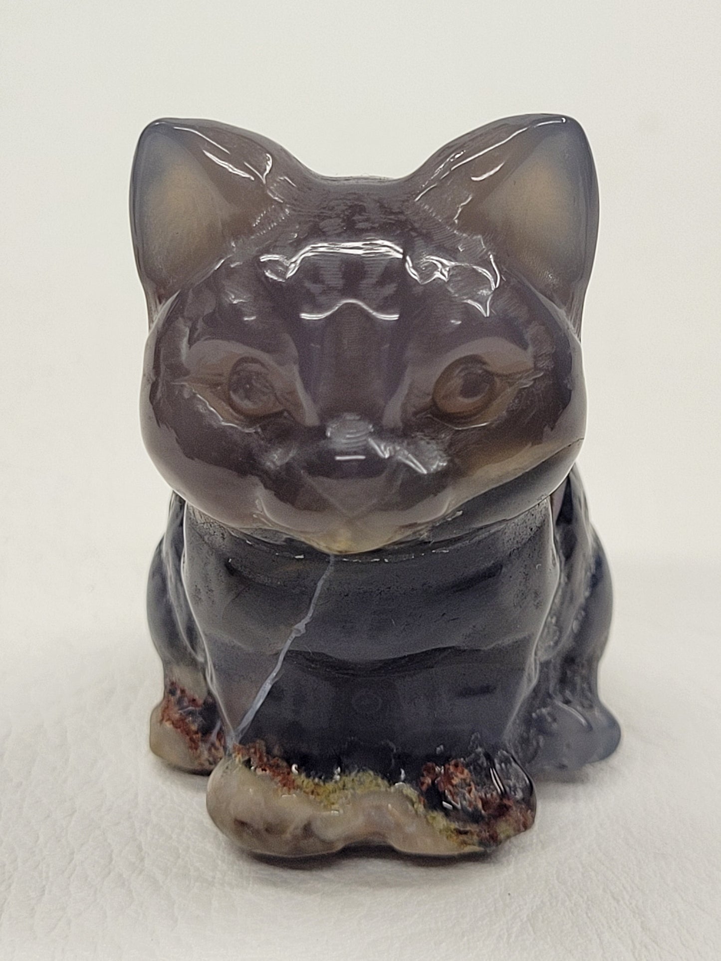 Cute cat/kitty sitting - Volcano Agate