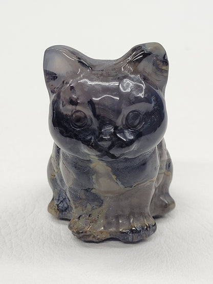 Cute cat/kitty sitting - Volcano Agate