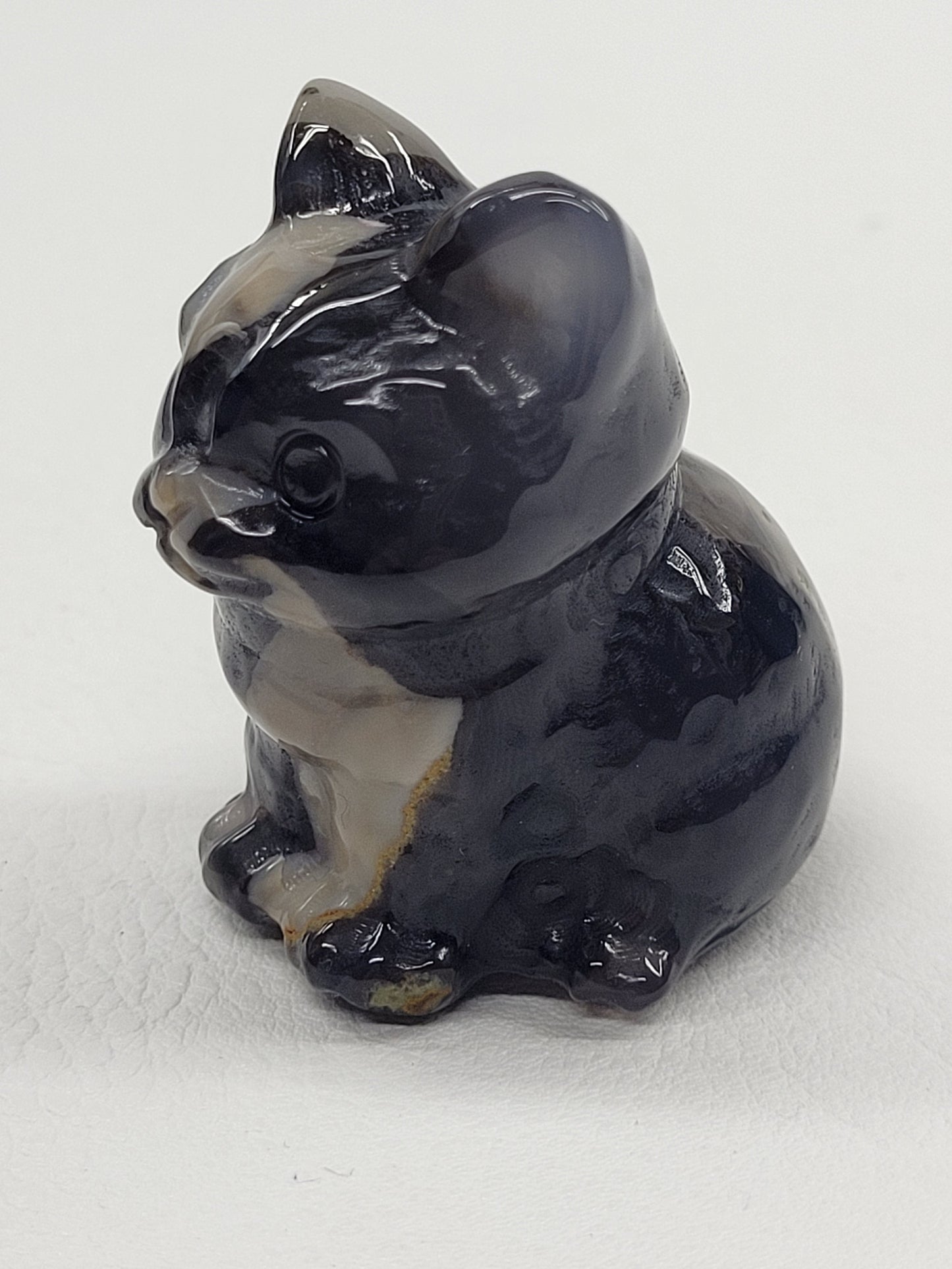 Cute cat/kitty sitting - Volcano Agate