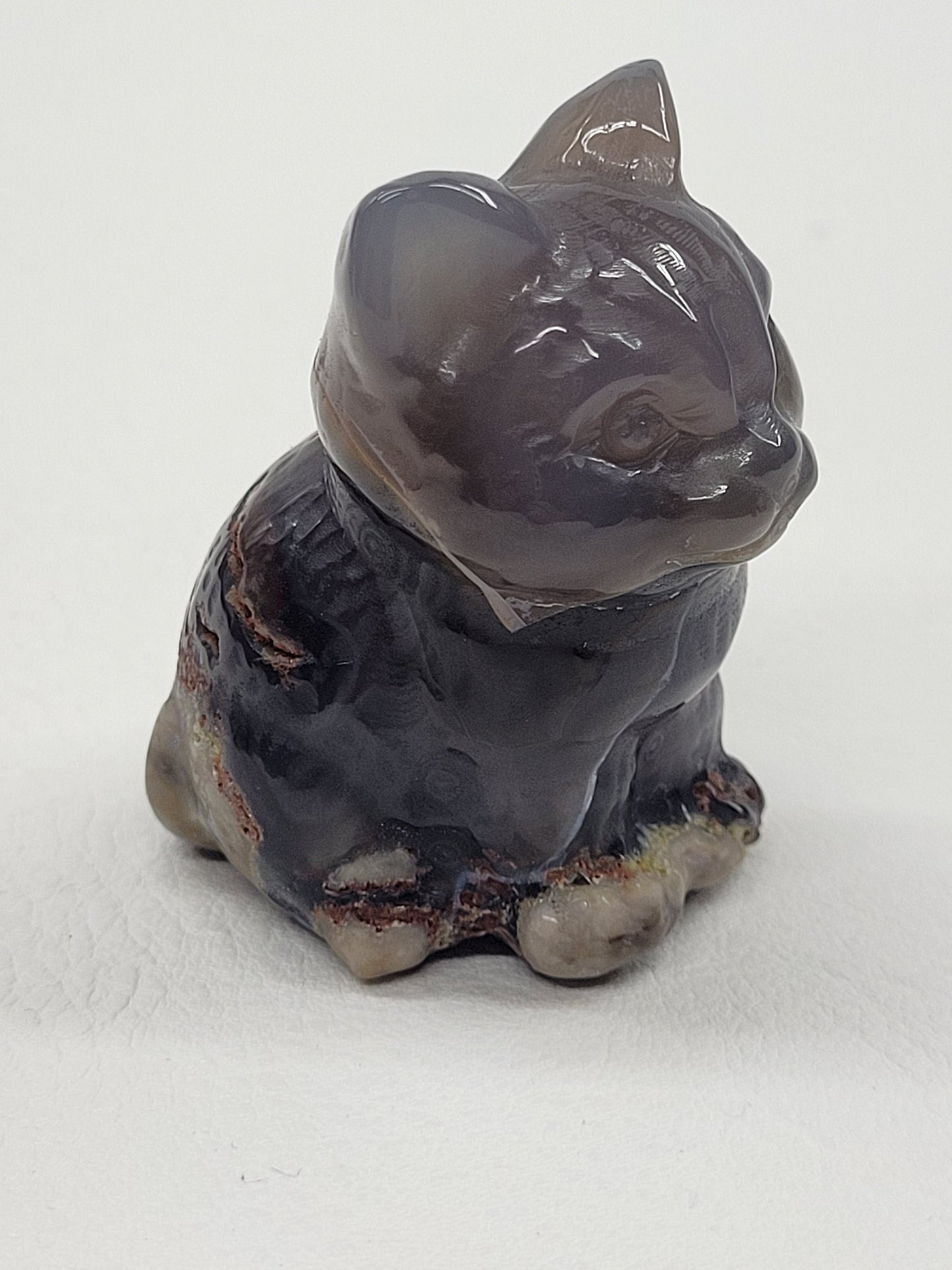 Cute cat/kitty sitting - Volcano Agate