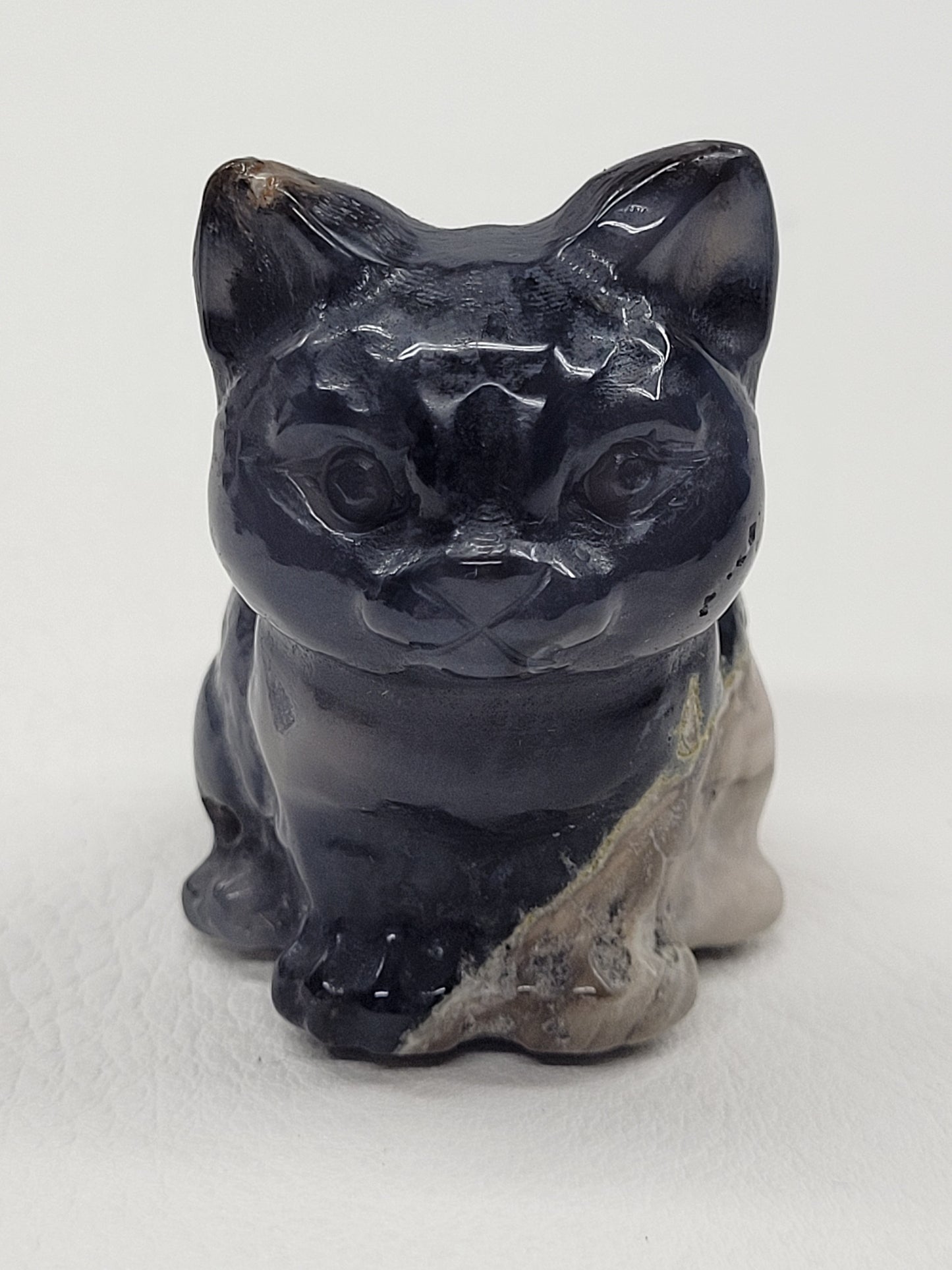 Cute cat/kitty sitting - Volcano Agate