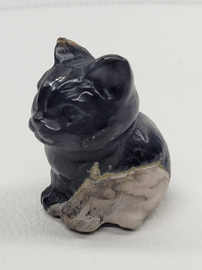 Cute cat/kitty sitting - Volcano Agate