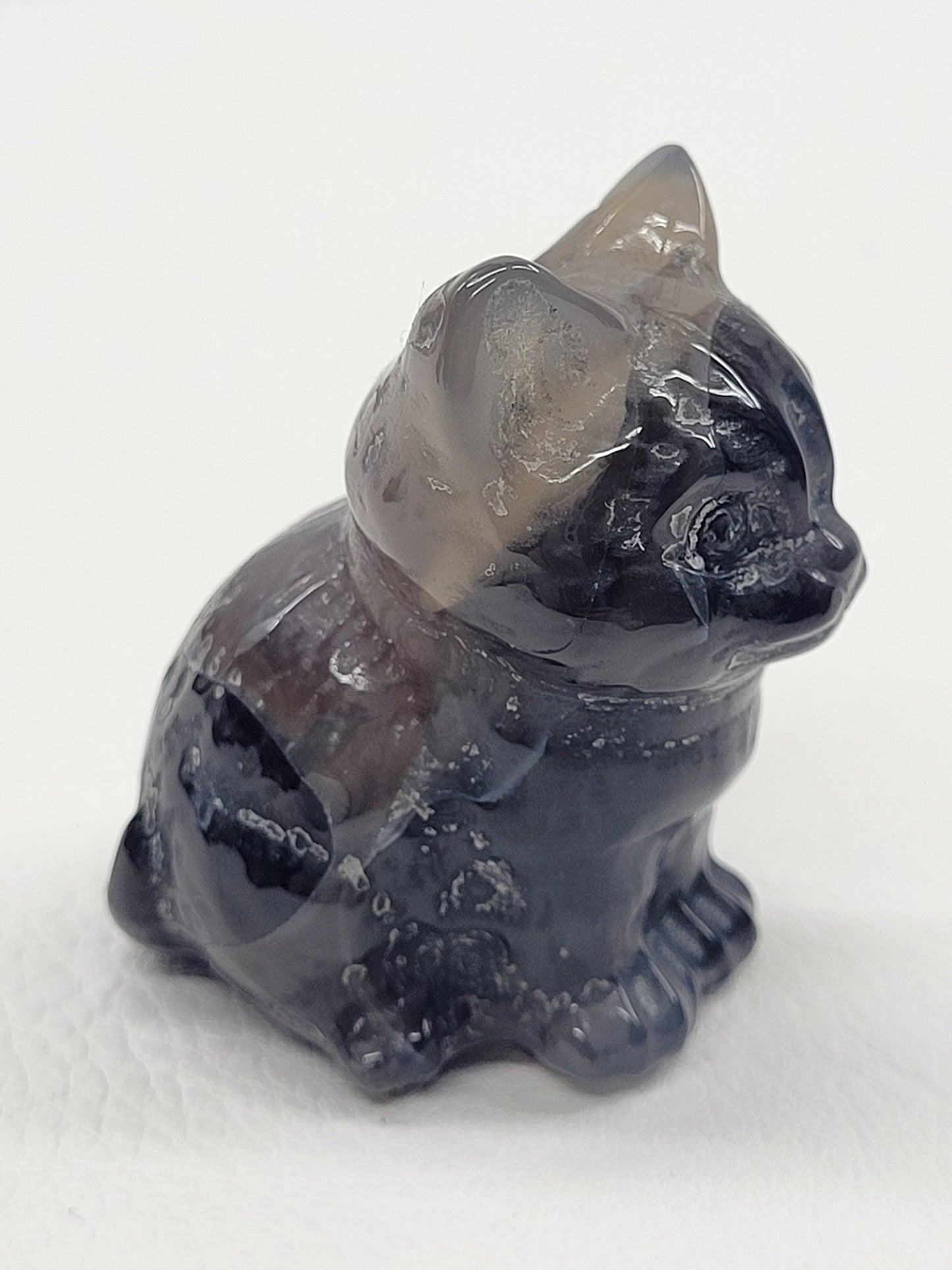 Cute cat/kitty sitting - Volcano Agate